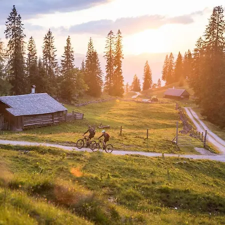 Διαμέρισμα Almara - Family Bad Goisern